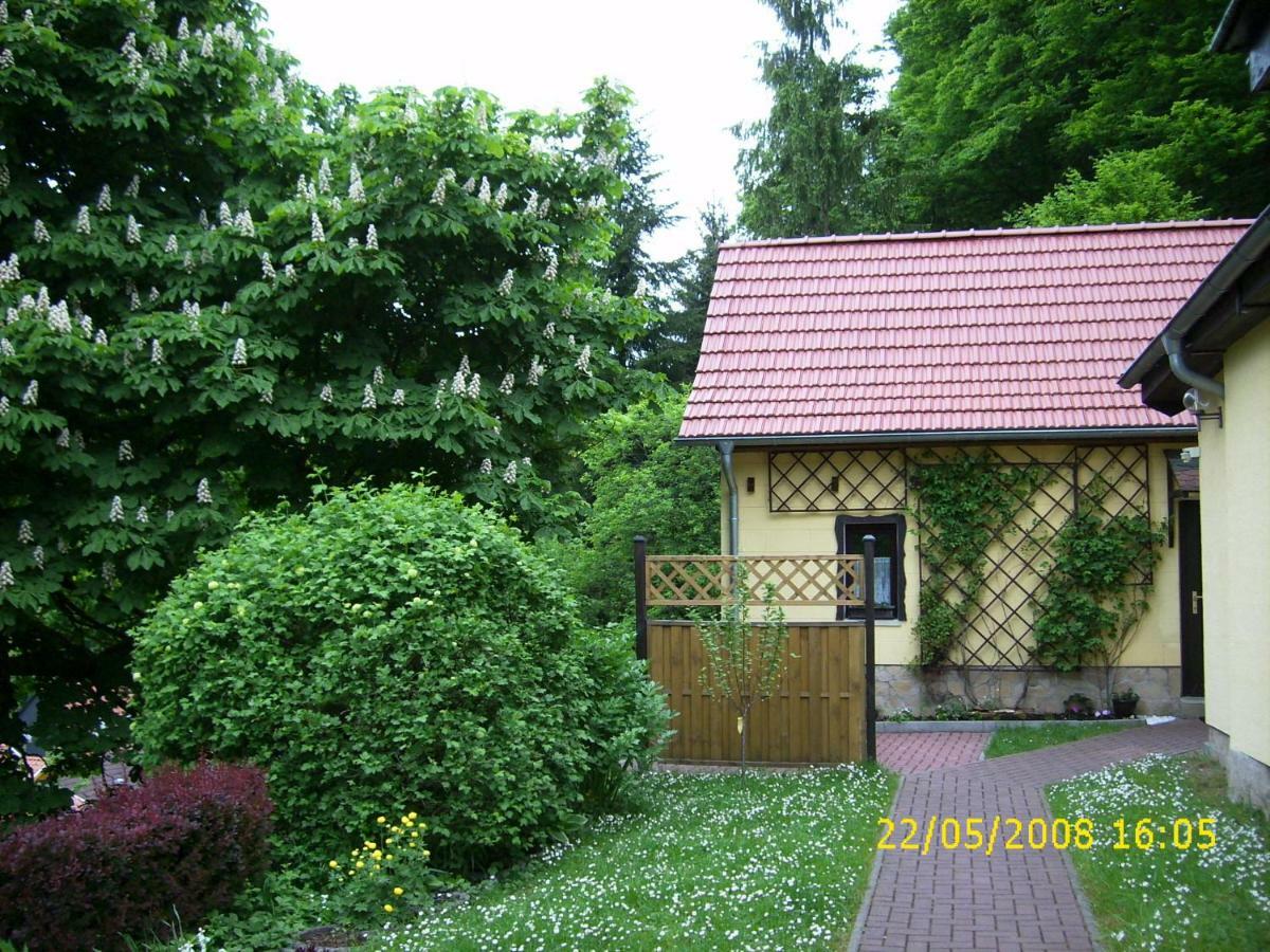 Birkenhain Stolberg i. Harz Exterior foto